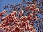 20070323 14.jpg